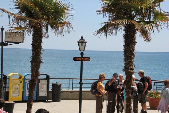 Il Massimo della Focaccia